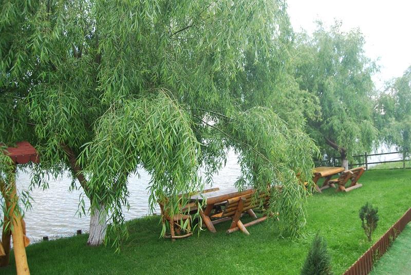 CUPA PESCARILOR - 16-18 MAI 2014 - II - cupa-pescarilor-sulimanu0094.JPG